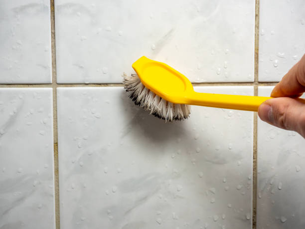 Best Black Mold Removal  in Panacea, FL
