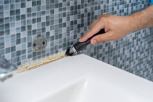 Best Attic Mold Removal  in Panacea, FL